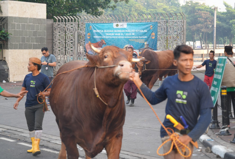 Iduladha 1447 H Dongkrak Ekonomi Umat, Nilai Kurban Capai Rp18,28 Triliun