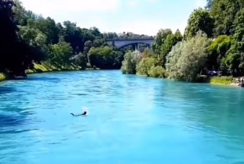 Sekilas Potret Sungai Aare Swiss; Bersih, Deras, Lebar dan Biasa Dipakai Berenang Wisatawan
