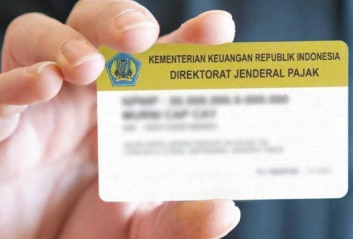 DJP Sikapi 6 Juta Data NPWP yang Diduga Bocor