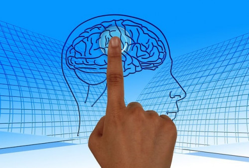 Simak 14 Fakta Menarik Tentang Otak Manusia yang Pasti Belum Pernah Anda Ketahui