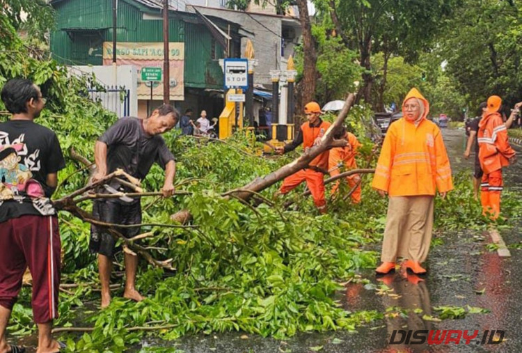 Pemprov DKI Siapkan Santunan hingga Rp50 Juta bagi Korban Pohon Tumbang