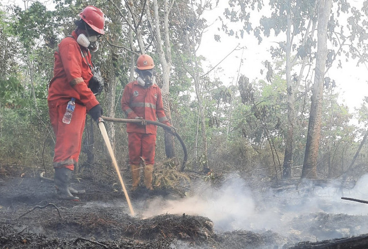 Titik Panas Karhutla Turun 56 Persen, Kalbar dan Kalteng Paling Signifikan