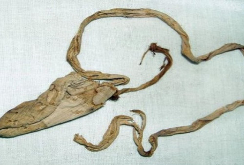 Mencengangkan! Arkeolog Temukan 5 Ribu Artefak di Makam Firaun, Salah Satunya Kondom, Bahannya dari Apa... 