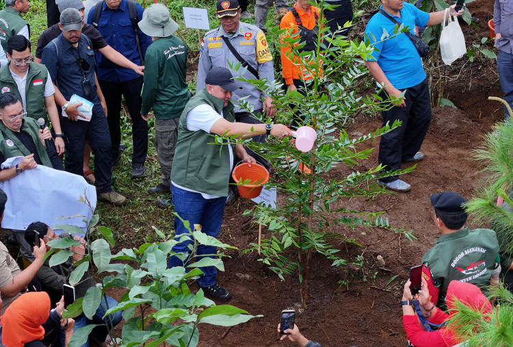 Rudy Susmanto Realisasikan 156,44 Hektare Hutan Kota dengan 45.152 Pohon Tertanam Dalam 4 Bulan