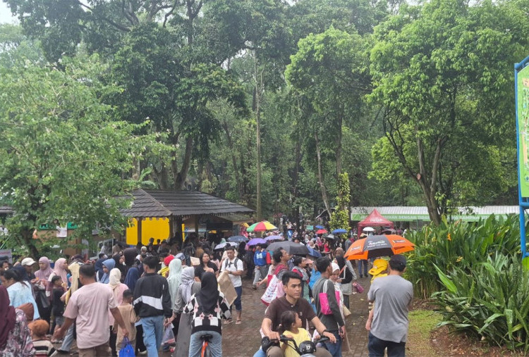 Senin Masuk Sekolah, Cerita Warga Serpong Padati Wisata Ragunan di Akhir Libur Lebaran