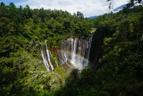 Libur Akhir Tahun Tak Lama Lagi, Ini 7 Rekomendasi Wisata Alam di Jawa Timur yang Oke