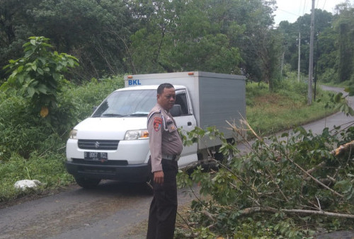 Ada Pohon Tumbang di Remayu, Pengendara Jangan Takut Ada Pak Polisi