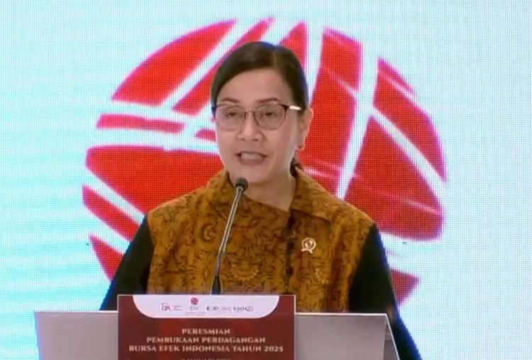 Coretax Sering Error, Sri Mulyani Pastikan DJP Lakukan Perbaikan