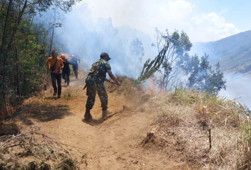 Gunung Bromo Kebakaran, Beberapa Akses Wisata Ditutup