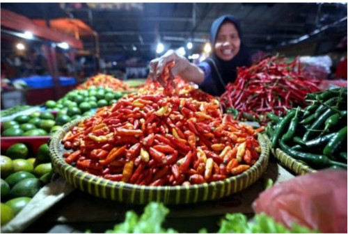 Tahun Baru, Harga Cabai Rawit di Kota Bengkulu Capai Rp 45 Ribu per Kilo