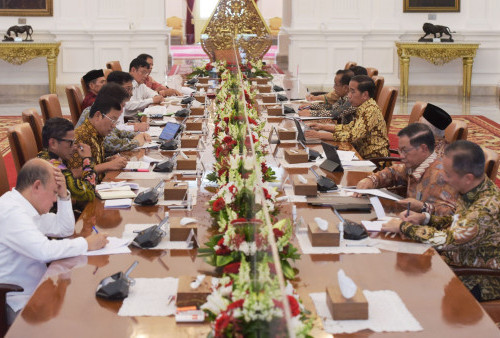 Gelar Rapat dengan Mentan, Jokowi Minta Revisi Aturan Pupuk Bersubsidi 