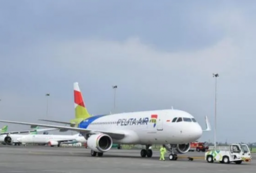 Datangkan 2 Pesawat Airbus A320, Pelita Air Siap Layani Penerbangan Komersial Berjadwal