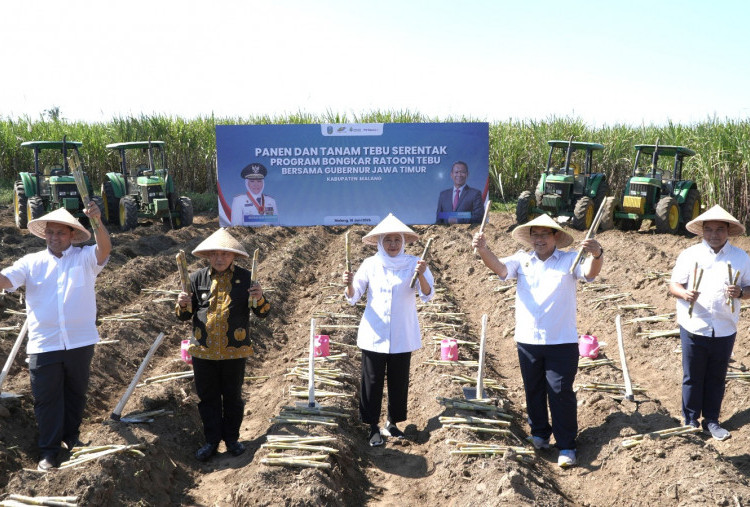 Jatim Targetkan Peremajaan Lahan Tebu 54 Ribu Hektare Guna Dongkrak Produksi Gula 