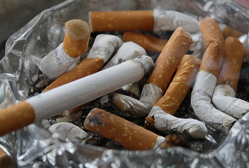 Rokok Bisa Sebabkan 6 Organ Tubuh Manusia 'Hancur', Yakin Nggak Mau Berhenti Merokok?