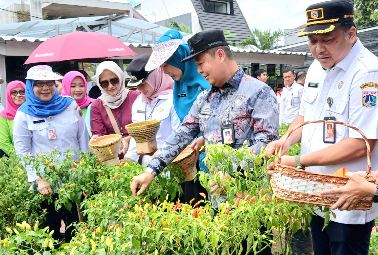 Panen Raya Serentak, Pemprov DKI Hasilkan 124,6 Ton Komoditi dari 240 Urban Farming