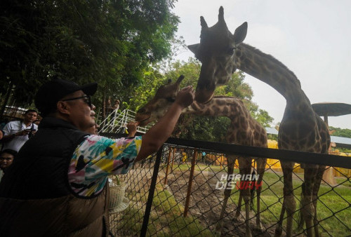 Deputi Kepala Perwakilan Bank Indonesia Provinsi Jawa Timur Bandoe Widiarto menjelaskan, pemasifan ini dilakukan dalam rangka mendorong digitalisasi pembayaran oleh masyarakat, khususnya destinasi wisata KBS. Mengingat KBS merupakan destinasi wisata yang strategis, sangat luas, dan telah tertata rapi. (Julian Romadhon/Harian Disway)