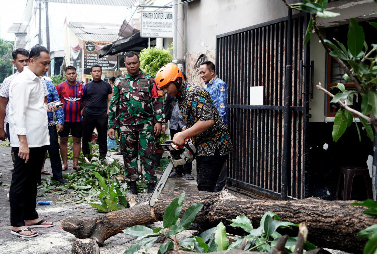 Hujan Lebat di Surabaya, 3 Rumah Roboh, 18 Pohon Tumbang