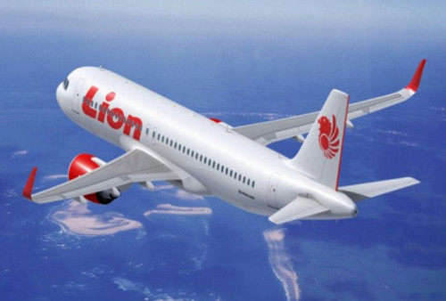Geger Tampilan Aplikasi Lion Air, Pesawat Seperti Melaju di Atas Air