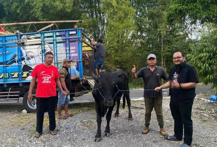 Iduladha 2026: PDIP Magetan Bagikan Daging Kurban Berwadah Besek di 6 Dapil