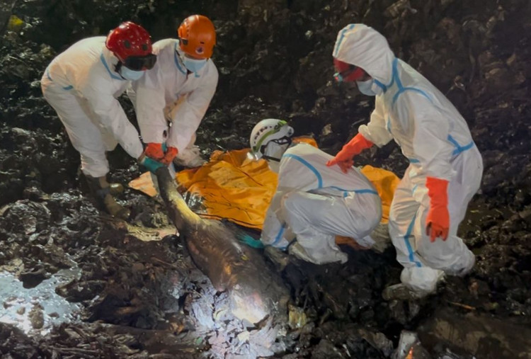 Ditemukan Jelang Tengah Malam, Korban Longsor Sampah Bantar Gebang Jadi 7 Orang