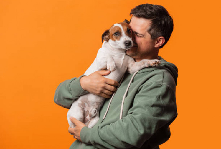 8 Manfaat Fisik dan Mental Memelihara Anjing