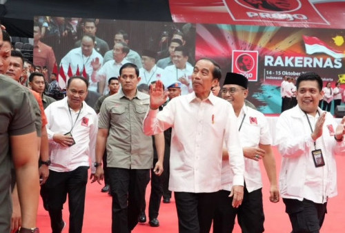 Relawan Projo Bakal Kumpul di IKN, Klaim Tak Pakai Uang Negara