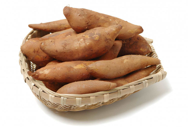 Jarang Diketahui, Simak 7 Khasiat Ubi Yakon yang Bagus untuk Kesehatan Tubuh
