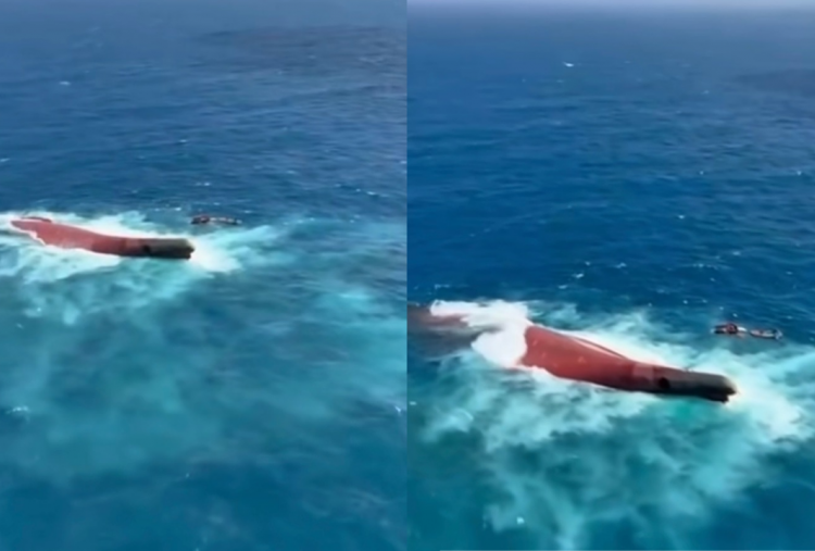 Detik-Detik Kapal Virgo Transport 8 Ditemukan Terbalik di Laut Jawa, Sempat Laporkan Cuaca Buruk