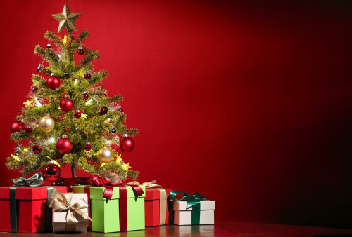 Tips Memilih Pohon Natal yang Tepat, Bikin Rumah Cantik dan Hangat di Momen Spesial