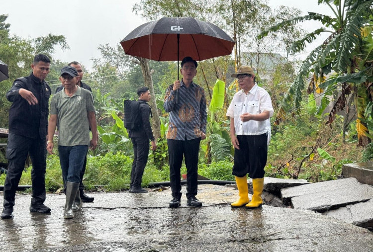 Bahaya Tanah Bergerak di Semarang, Wapres Gibran Minta Warga di Pengungsian Jangan Bolak-Balik ke Rumah 
