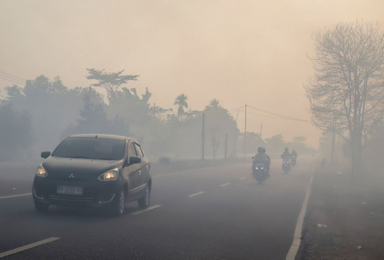 Kebakaran Hutan di Kalimantan Lenyapkan 95 Ribu Hektare Lahan dalam Sebulan, Lebih Parah dari 2019 dan 2023