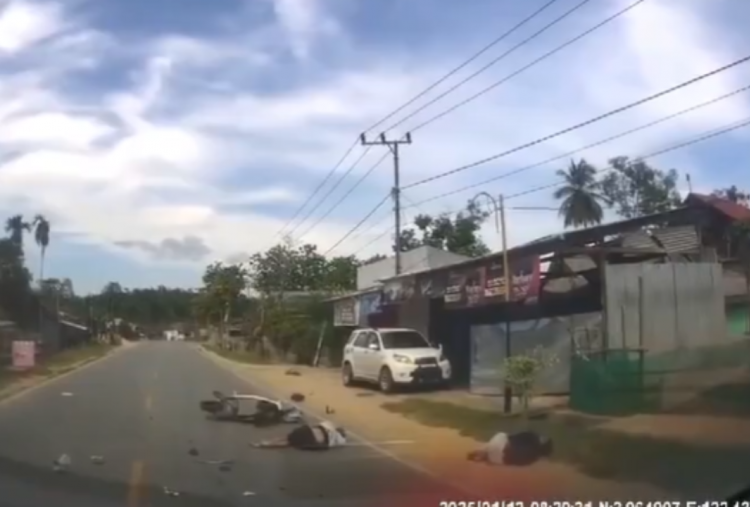 Ngeri! Kronologi Kecelakaan Motor dan Mobil Alphard di Konawe, Polisi Ungkap Pemotor Mengantuk