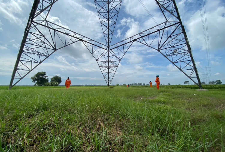 Electrifying Agriculture PLN Bantu Jaga Produktivitas Petani di Musim Kemarau