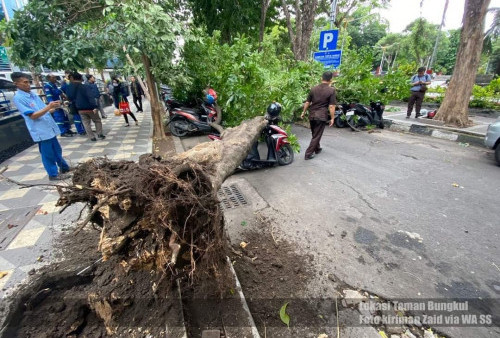 Angin Kencang Melanda Surabaya, Beberapa Pohon di Taman Bungkul Tumbang
