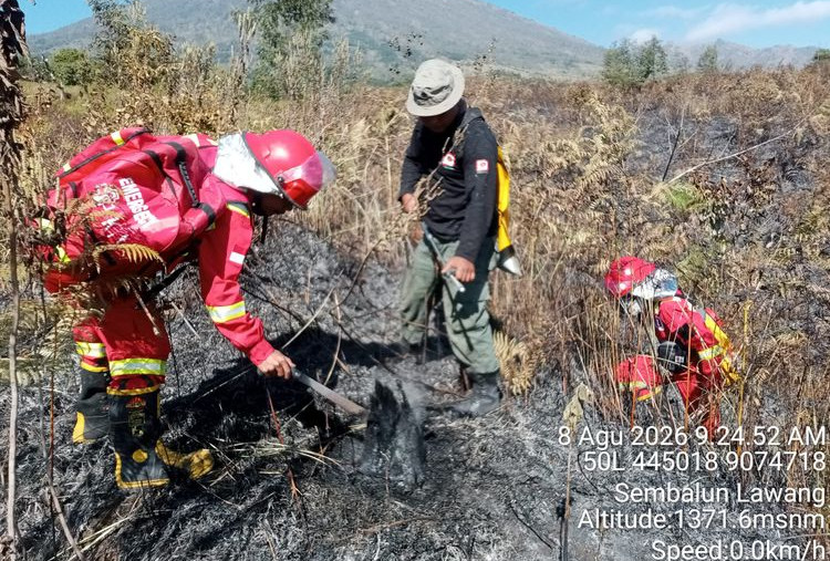 Kebakaran Hutan Terjadi di Banyumas dan Rinjani, Api Berhasil Dipadamkan