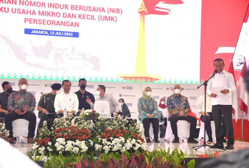Presiden Jokowi Dorong Pelaku UMKM Manfaatkan Platform Daring untuk Dongkrak Omzet
