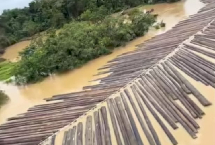 Kemenhut Sebut Rakit Kayu di Sungai Kapuas Berdokumen Resmi dan Legal