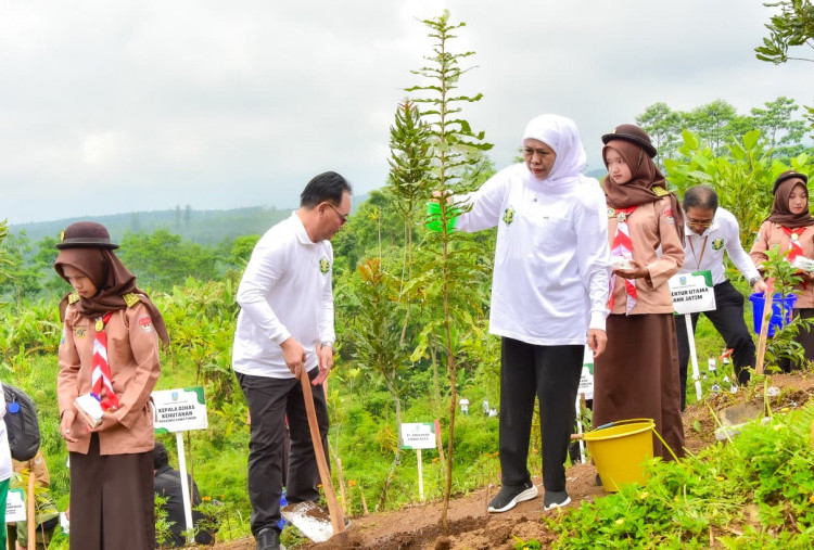 Khofifah Tanam 5.000 Pohon di Lereng Semeru, Komitmen Kejar Target Net Zero Emission