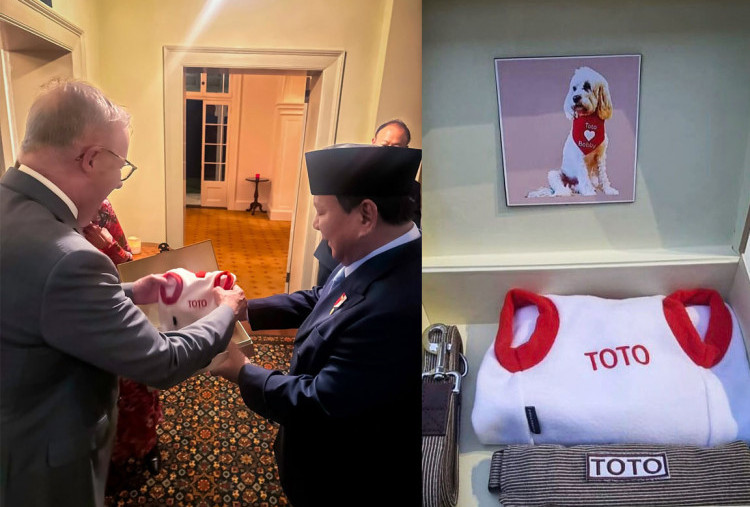 Prabowo Hadiahi Toto, Anjing Kesayangan PM Albanese Kaos Merah Putih dan Tali