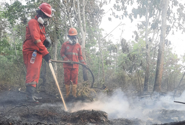 Pray For Kalimantan! Karhutla Meluas, Pemerintah Siapkan Operasi Modifikasi Cuaca