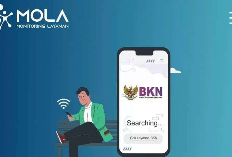 Akses Mola BKN Terkendala, Pelamar PPPK Paruh Waktu Kesulitan Cek NIP, Begini Solusinya