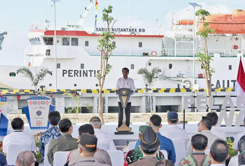 Presiden Jokowi Resmikan Dua Pelabuhan di Kawasan Teluk Palu, Total Biaya Rp233 Miliar 
