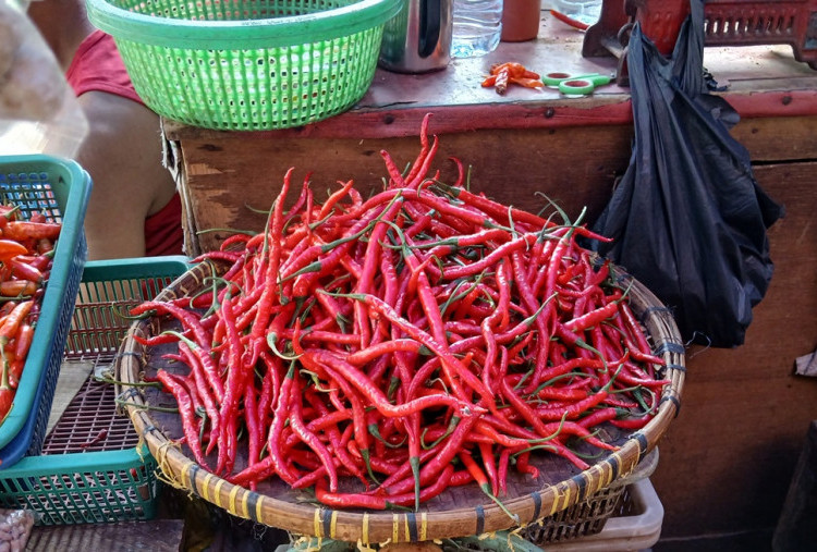 Waduh! Harga Cabai Melambung Tinggi, Begini Penjelasan Kemendag 