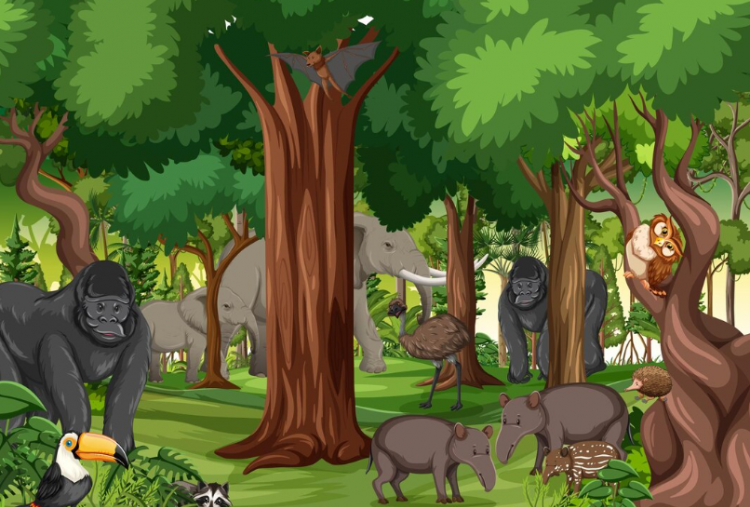 5 Alasan Hutan Biodiversitas Sangat Penting bagi Kehidupan