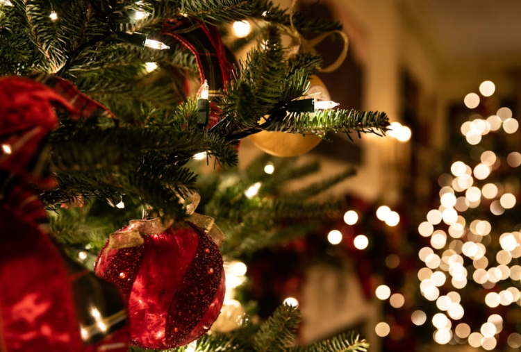 Tema Natal Nasional 2025 PGI dan KWI Lengkap Makna dan Sub Tema untuk Kegiatan Perayaan