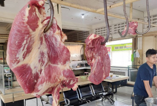 Harga Daging Sapi Turun, Pedagang Khawatir Merebaknya PMK