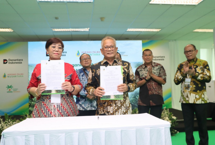 Agrinas Palma dan RSI Percepat Peremajaan Sawit Rakyat, Dorong Produktivitas Petani Naik Kelas