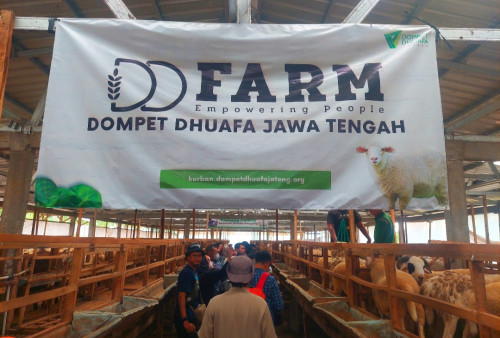 Terobosan Dompet Dhuafa Tebar Hewan Kurban di Jateng, DD Farm Distribusikan ke 15 Titik