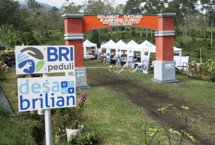 Jangkau 5.245 Desa BRILiaN, BRI Perluas Dukungan bagi Pengembangan Ekonomi Desa