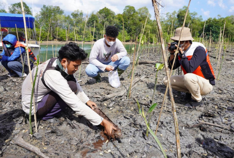Strategi Hijau Pertamina di Hari Bumi 2026: Dari Desa Mandiri hingga Sejuta Pohon